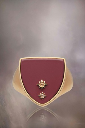 Maison Margiela Enamel Signet Ring Guld Röda | SE_MM97910