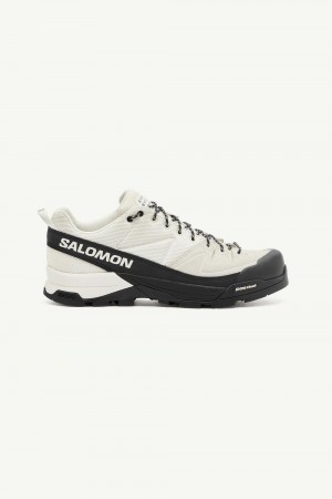 Maison Margiela Mm6 Maison Margiela X Salomon X-alp Vita | SE_MM25587