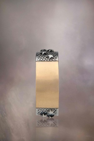 Maison Margiela Star Ring Silver Guld | SE_MM80993